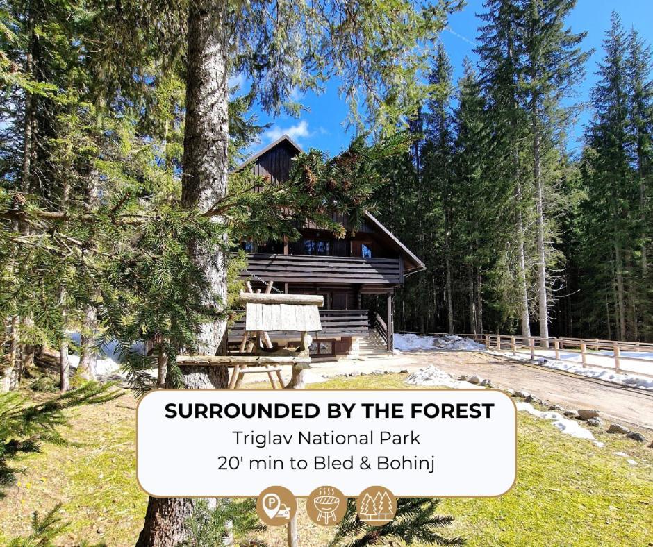 Forest Apartments Pokljuka Zgornje Gorje Exterior foto